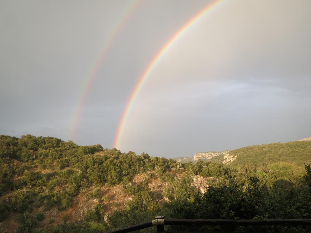 Les Hauts D'Issensac Causse-de-la-Selle Eksteriør billede