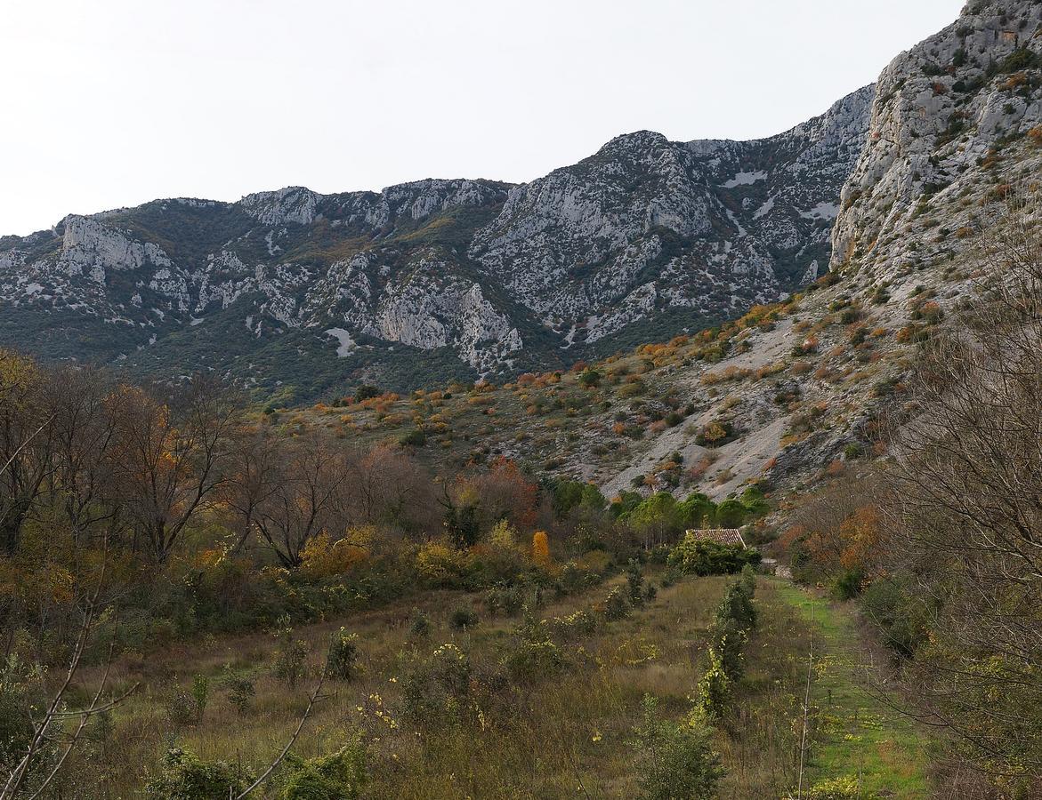 Les Hauts D'Issensac Causse-de-la-Selle Eksteriør billede
